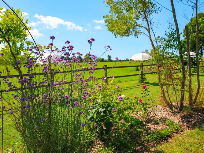 Jardin-du-Crapaud-à-Trois-Pattes--SMA--HAREL (9)