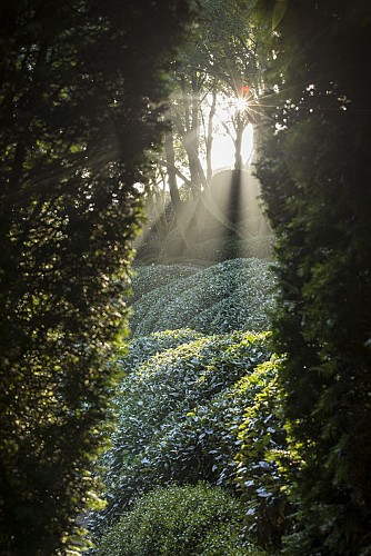 Les Jardins d'Étretat