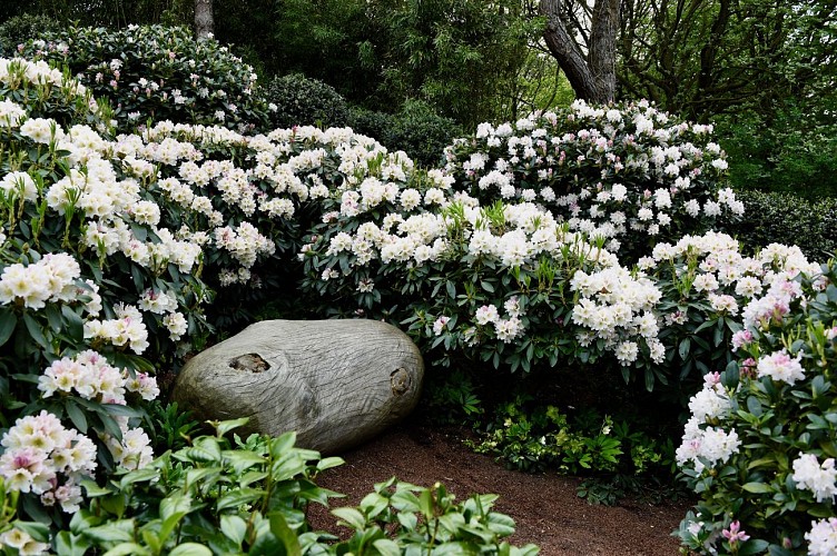 Les Jardins d'Étretat
