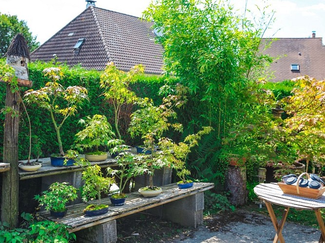 jardin_des_erables-sma-mathilde_harel-800x600 (2)