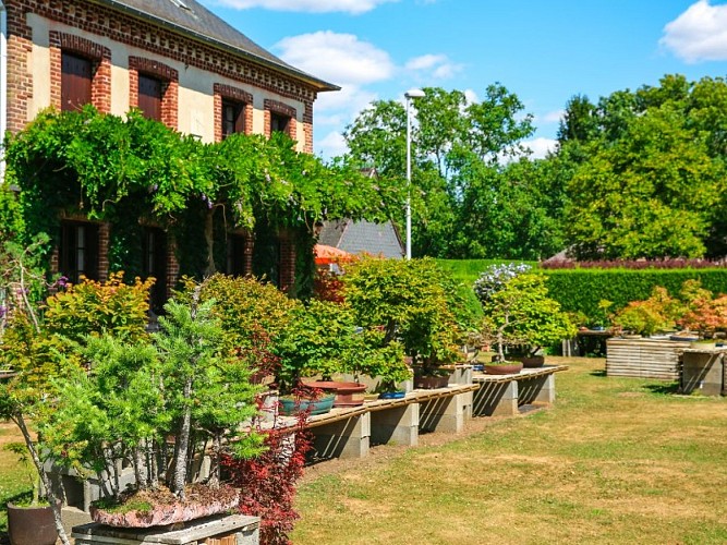 Jardin des Erables à Gouy - 2020