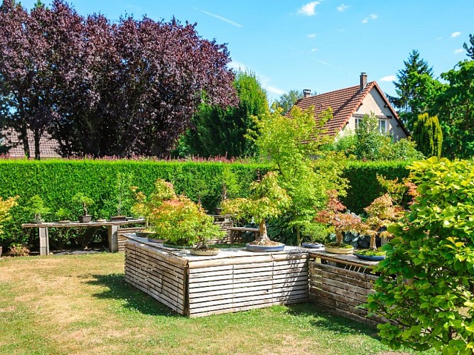 Jardin des Erables à Gouy - 2020