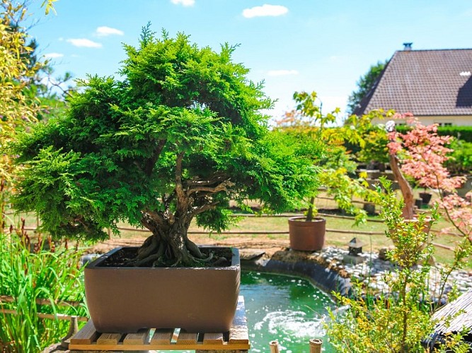 Jardin des Erables à Gouy - 2020