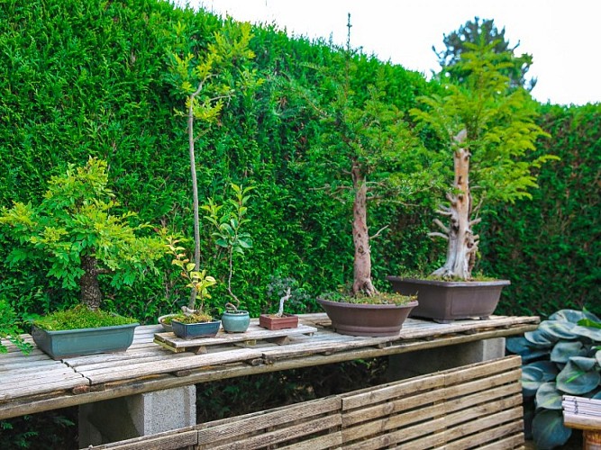 jardin_des_erables-sma-mathilde_harel-800x600 (1)