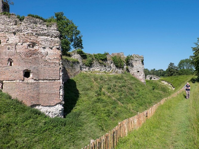 Château Féodal - Arques-la-Bataille 3 ©Eric Bénard Bénard