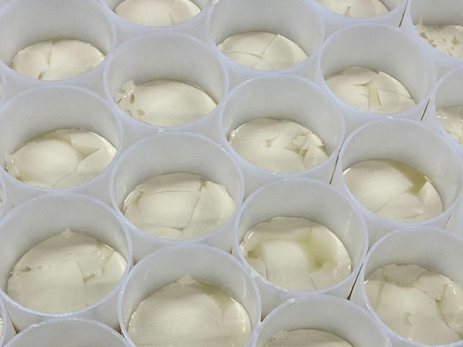 Camembert le 5 frères - Bermonville 