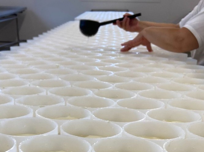 Camembert le 5 frères - Bermonville 