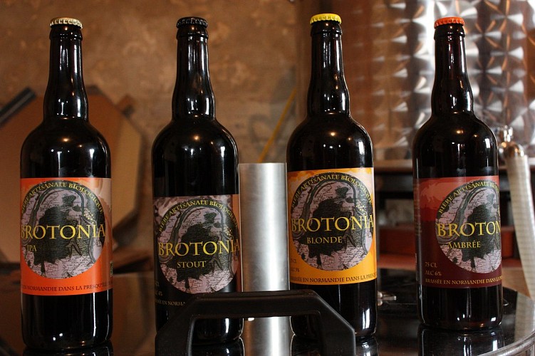 Bière bio Brotonia - Tourisme Caux Seine (33)