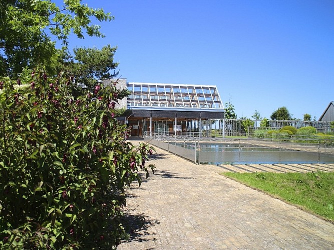 Le-Clos-des-Fees---Paluel-10