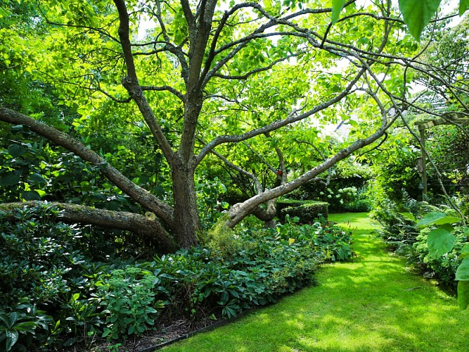 jardin_des_hasards-sma-mathilde_harel-800x600 (2)