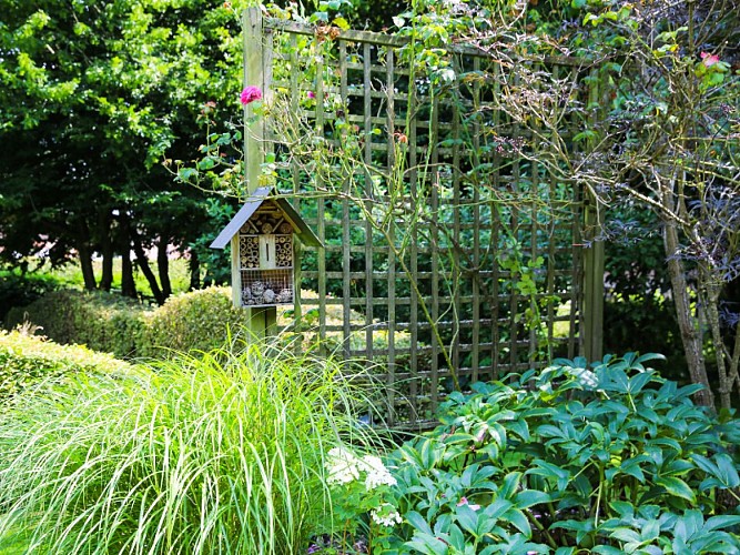 jardin_des_hasards-sma-mathilde_harel-800x600 (3)