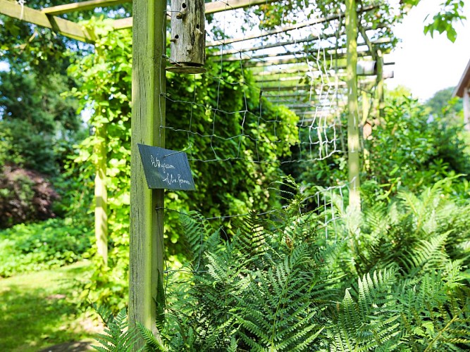 jardin_des_hasards-sma-mathilde_harel-800x600 (4)