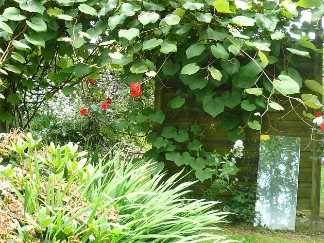 Le Jardin des Hasards - Doudeville