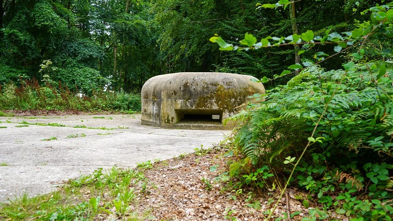 v1-Beaulieu-2021©VideoBBP (31)