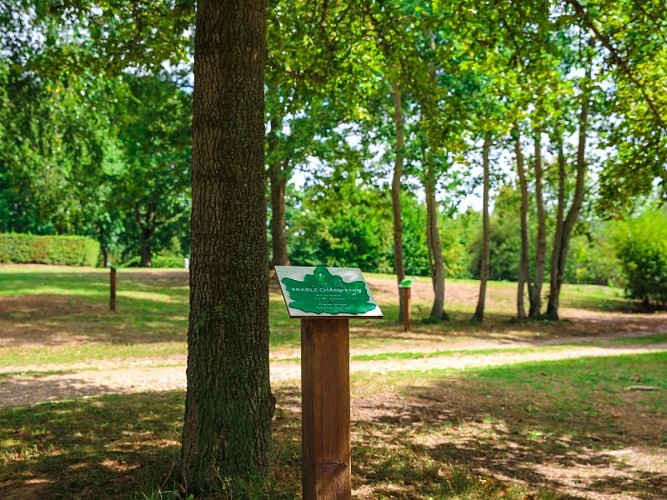Arboretum de la Base de Loisirs de Jumièges - 2020
