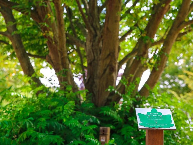 Arboretum de la Base de Loisirs de Jumièges - 2020