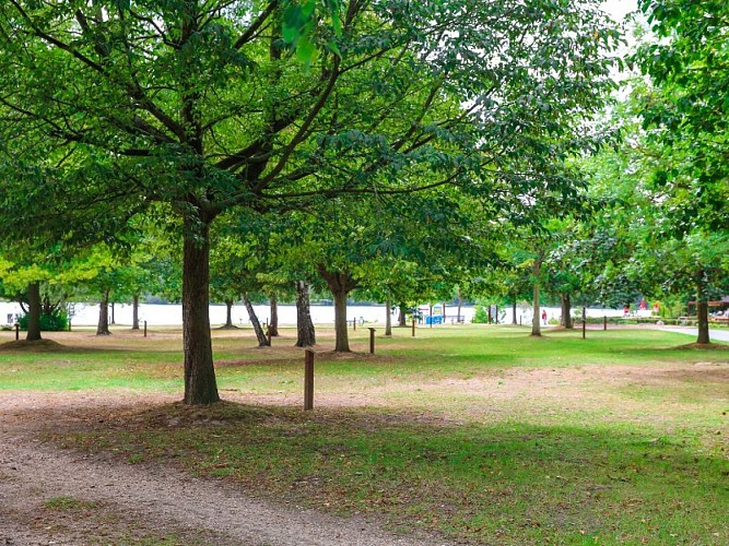Arboretum de la Base de Loisirs de Jumièges - 2020