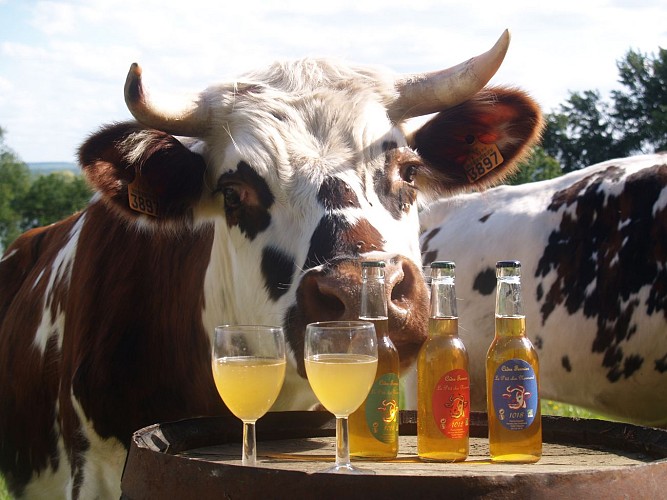 Ptit Clos Normand 2 Villequier Rives en Seine Caux Seine Tourisme M. Craquelin