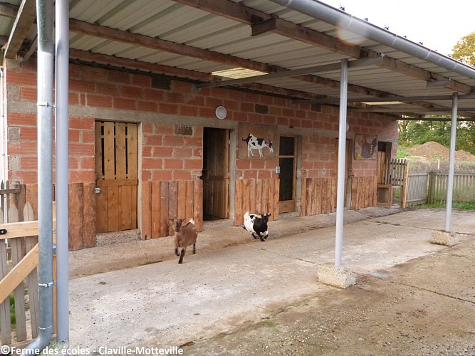 Ferme-des-ecoles----Ferme-des-ecoles---2019---CLAVILLE-MOTTEVILLE---ferme-pedagogique---famille--3-