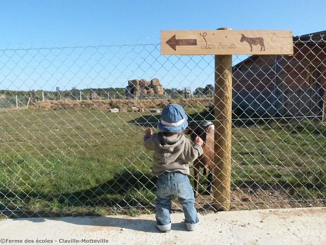 Ferme-des-ecoles---Claville-Motteville-tout-petits