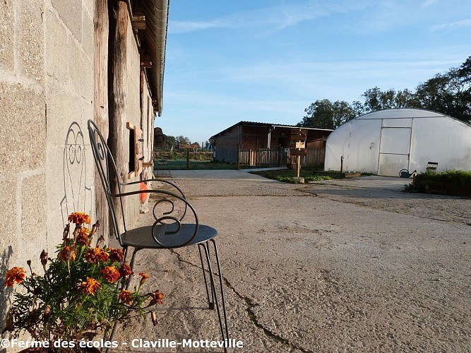 Ferme-des-ecoles----Ferme-des-ecoles---2019---CLAVILLE-MOTTEVILLE---ferme-pedagogique---famille--1-