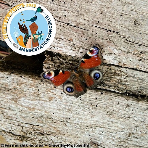 118830147_2692589277695989_2727282675301616762_o