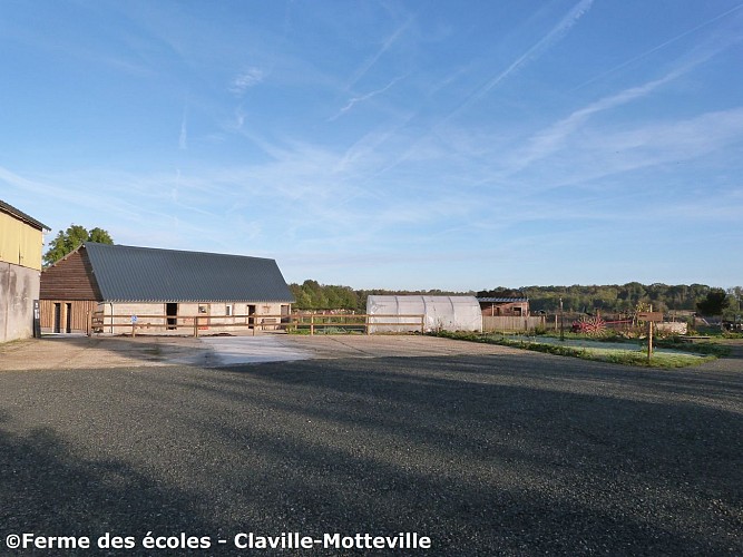 Ferme-des-ecoles----Ferme-des-ecoles---2019---CLAVILLE-MOTTEVILLE---ferme-pedagogique---famille--4-