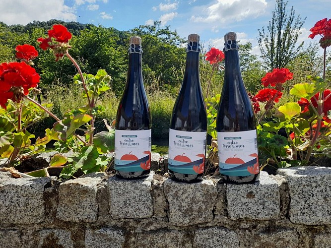 CIDRERIE DES HAUTES FALAISES - CONTREMOULINS - 2023