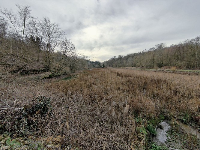 Étangs de Chevelipont