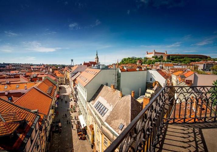 Excursion d’une journée à Bratislava en Slovaquie & Croisière en catamaran - Au départ de Vienne