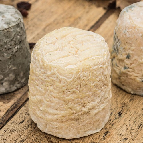 Chabichou du Poitou AOP photo dépliant Fromages de chèvre de Nouvelle-Aquitaine