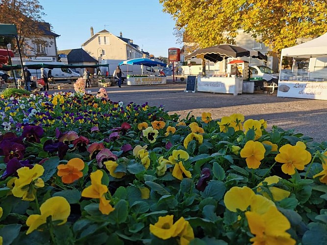 Marché de Pompadour_1