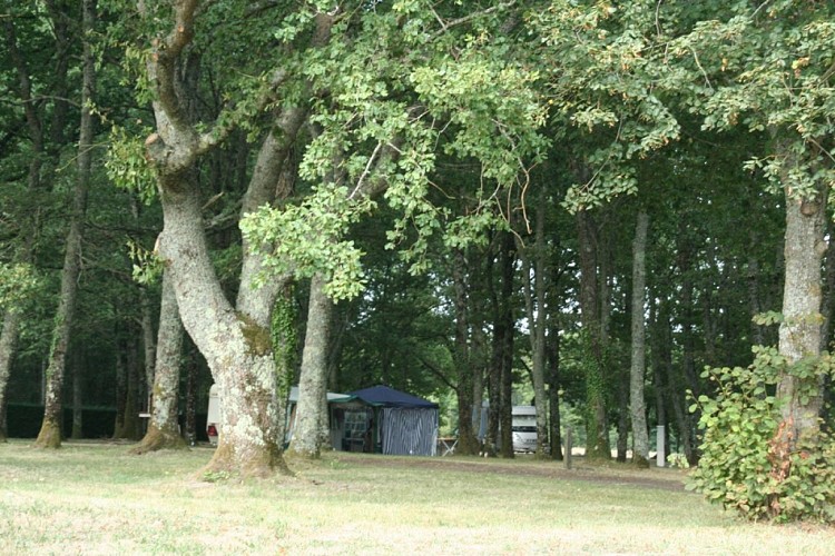 camping_bussiere_dunoise@otgg (10)