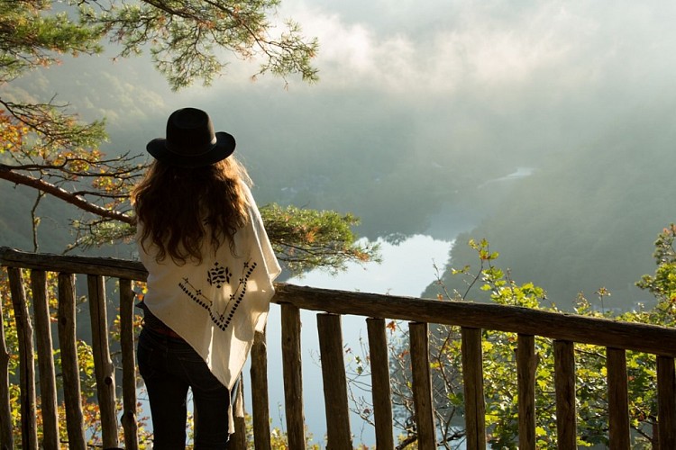 Hêtre sous le Charme