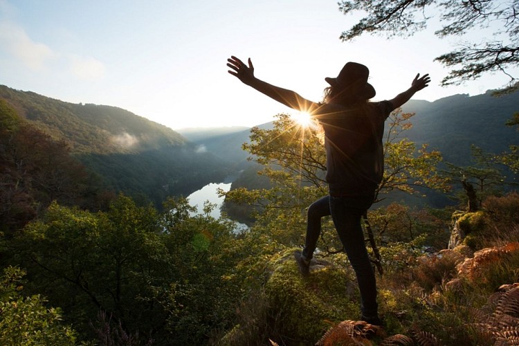 Hêtre sous le Charme