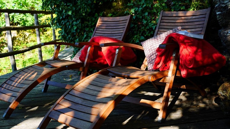 Hêtre sous le Charme