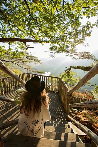 Hêtre sous le Charme