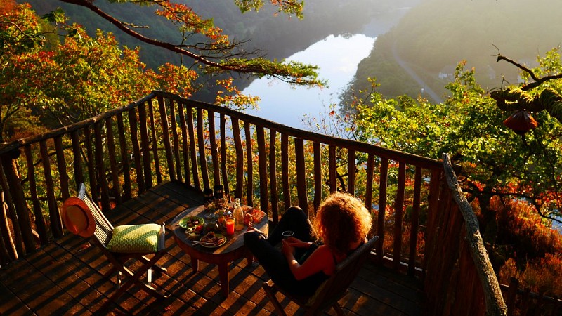 Hêtre sous le Charme