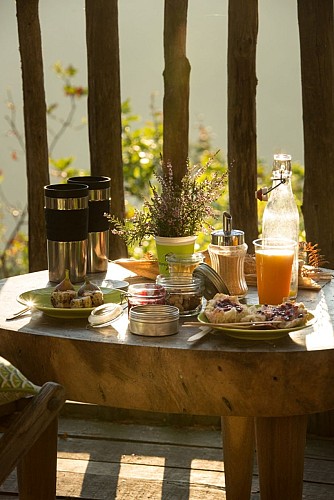 Hêtre sous le Charme