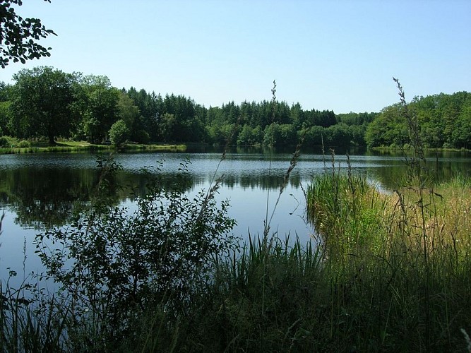 Etang Fédéral du Donzeil