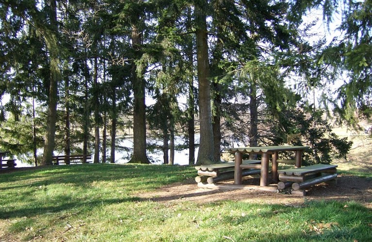 Aire de pique nique au bord de l'étang