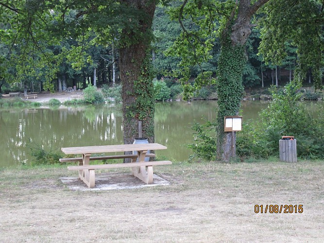 Aire de Pique Nique au Plan de la Brousse_1