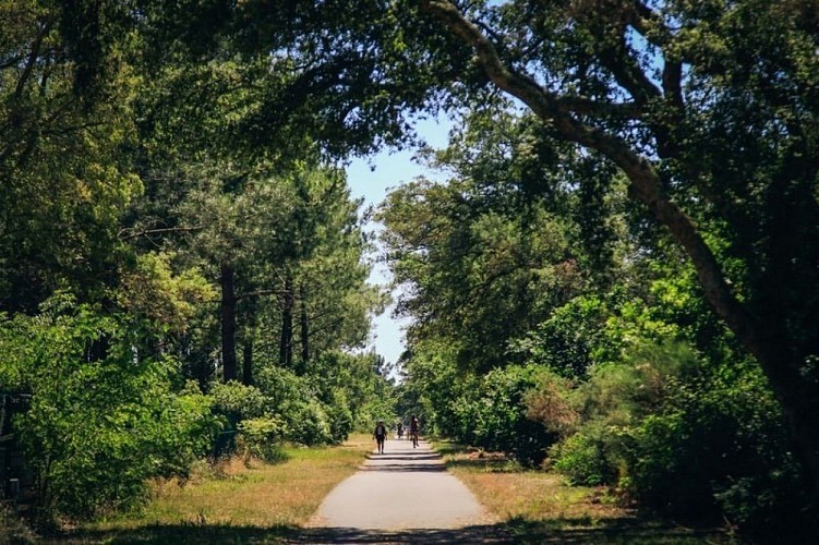 Camping-la-civelle-landes-atlantique-sud--7-