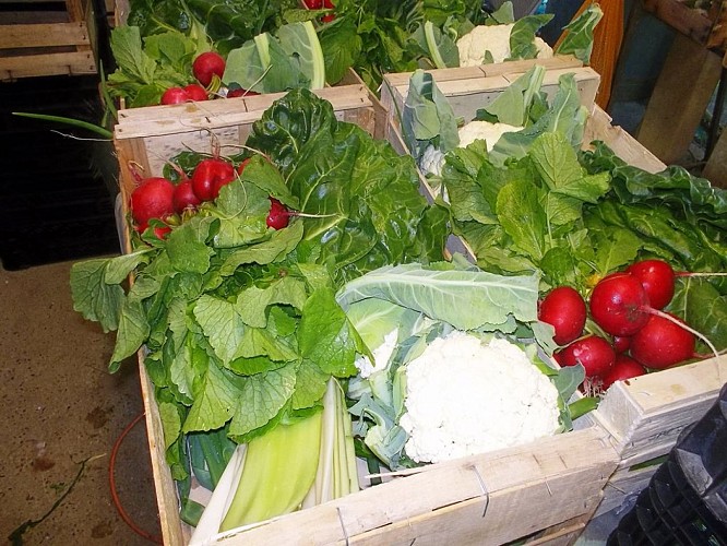 Ferme Coumet - Panier de légumes