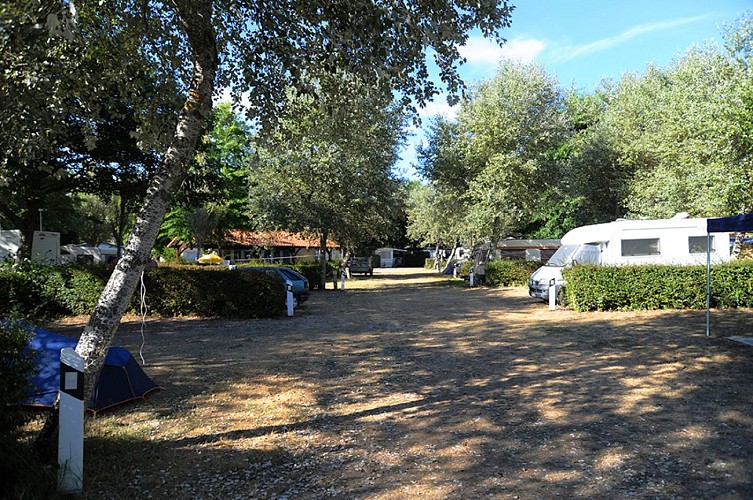 camping le moussaillon_messanges_fleuri (2)