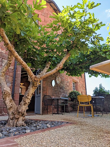 A l'ombre du figuier