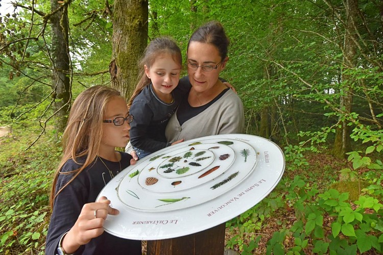 Sentier d'interprétation de la Forêt d'Épagne à Sauviat-sur-Vige en Limousin