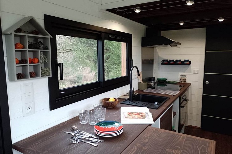 Un-bel-espace-pour-cuisiner-et-prendre-ses-repas-face-a-la-nature