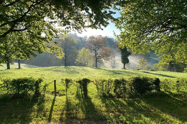 WhatsApp-Image-20230508-at-145823