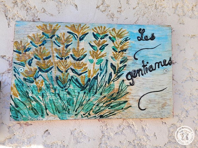 Les Gentianes_3